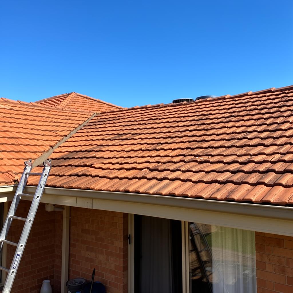 Example Roof Restorations